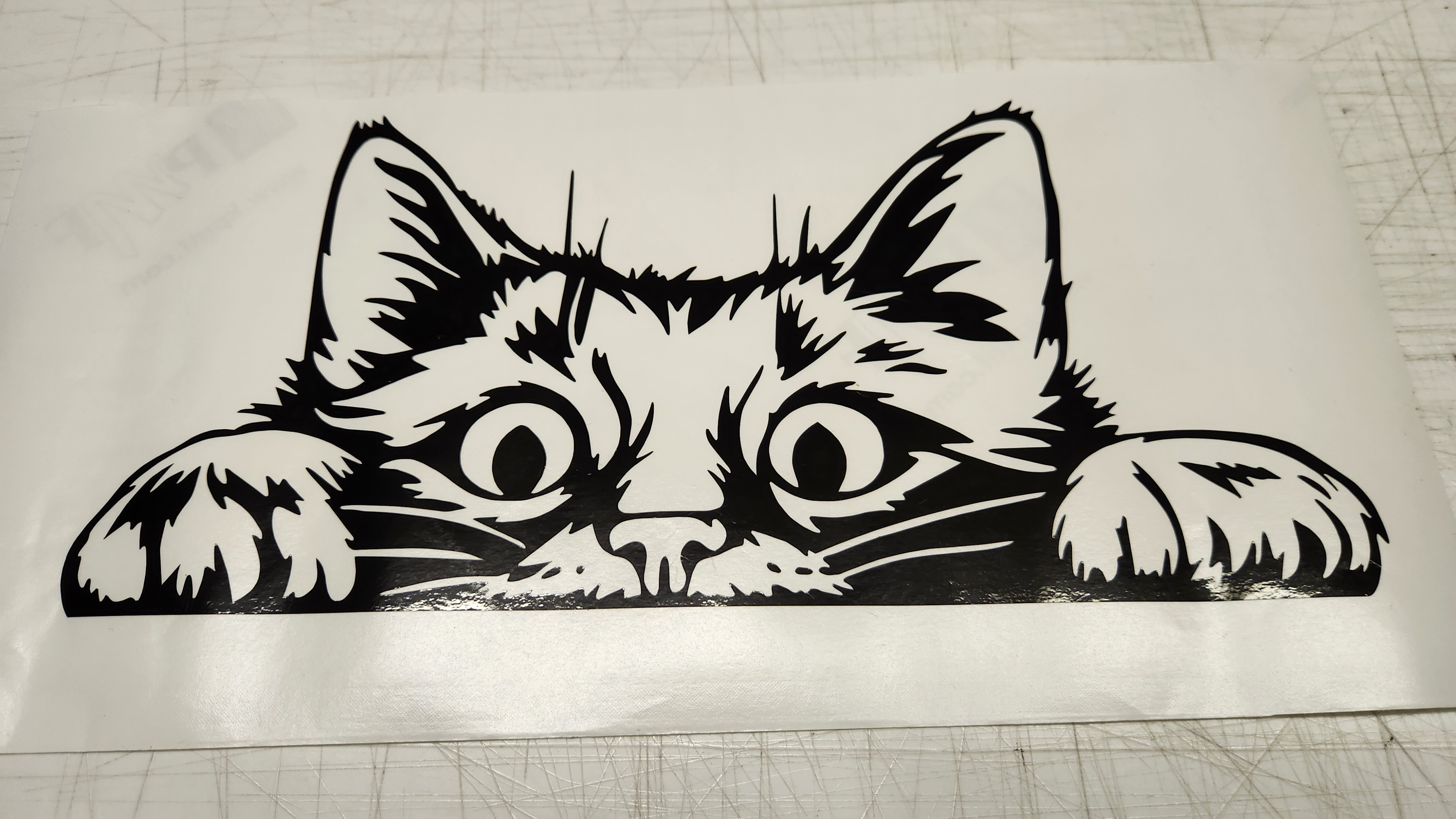 comical cat cartoon
